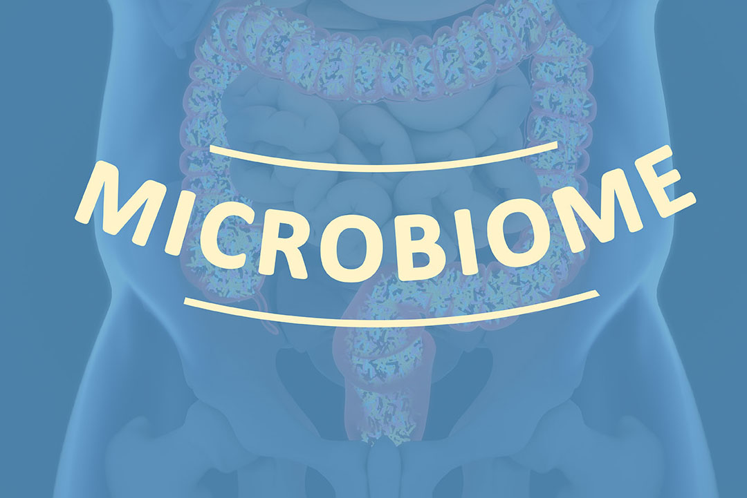 The human microbiome